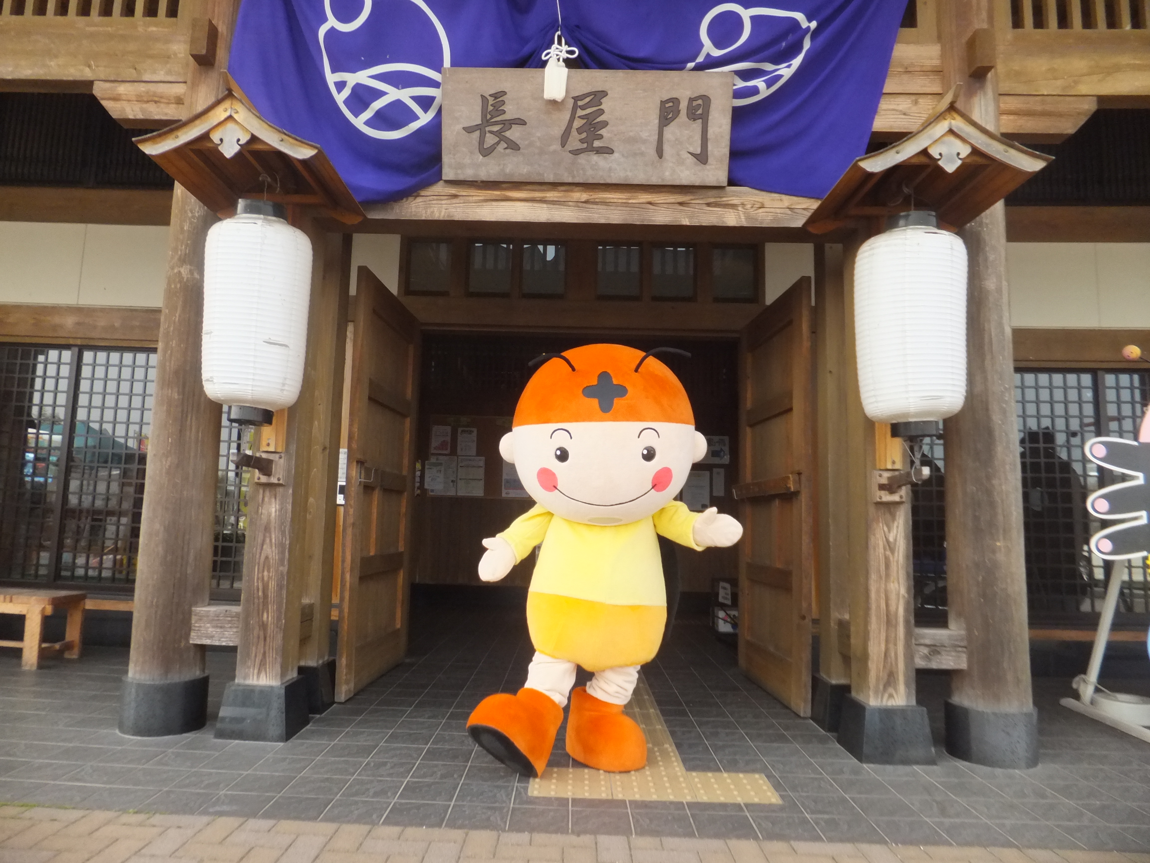 ホタル観賞案内所を開設しています！　
