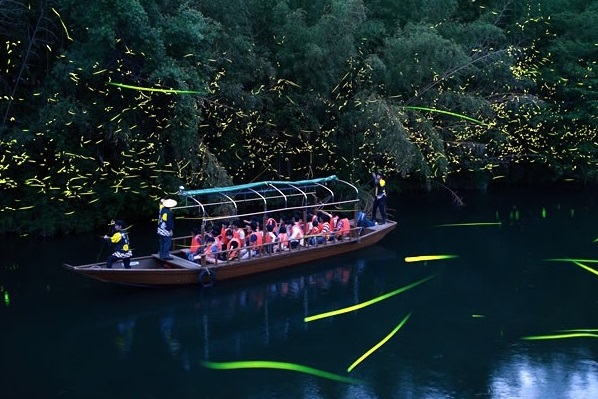 【ホタル舟】　運航日程・受付開始日時のお知らせ