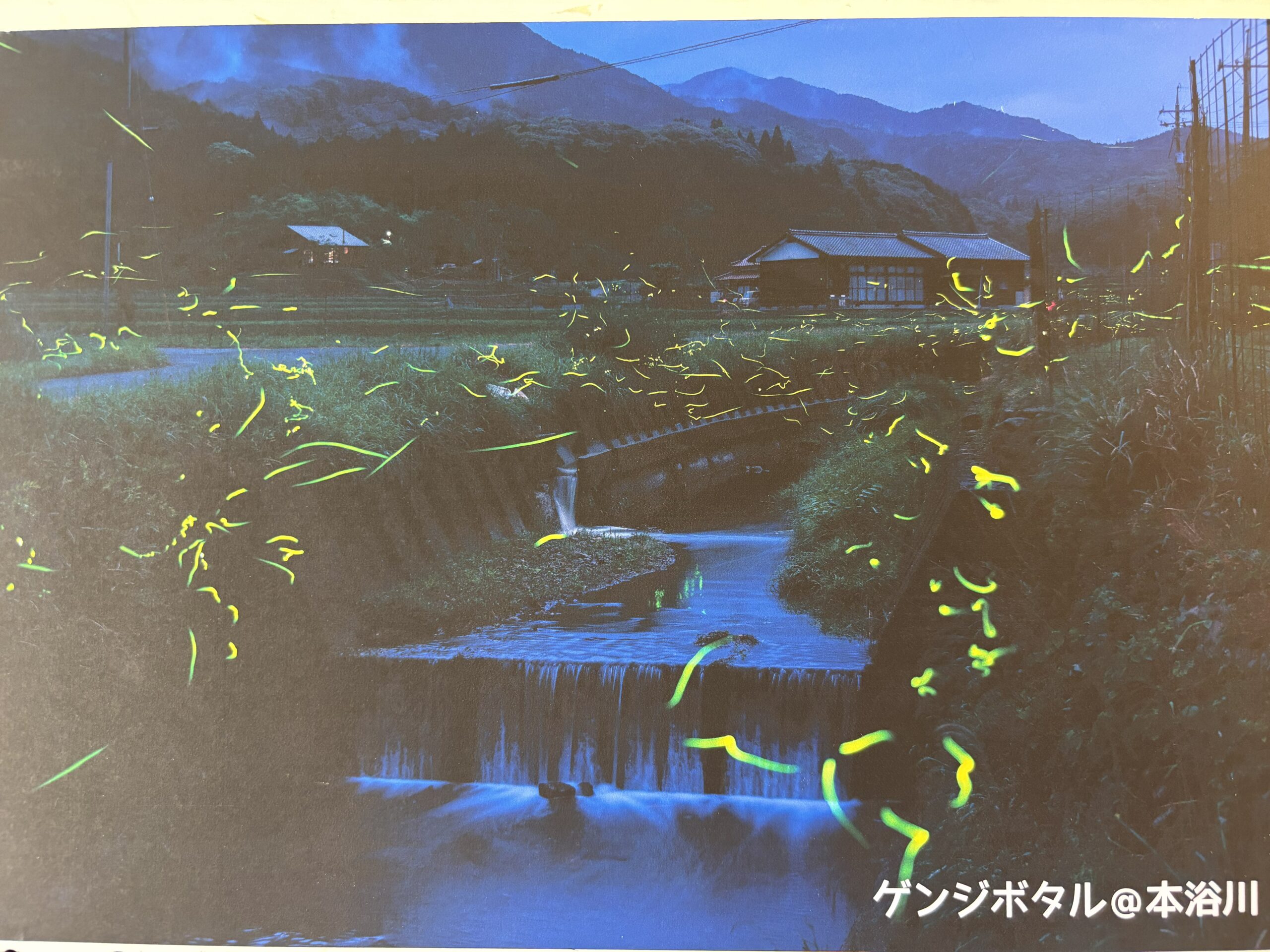 勢戸研二写真パネル展「ホタルがいる風景」をおこなっています！
